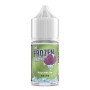 * SVAPONEXT THE FROZEN BRAIN FUJI MELON 0 MG MIX&VAPE 10 ML IN CHUBBY 30