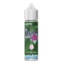 ° SVAPONEXT THE FROZEN BRAIN COTTONCANDY 0 MG MIX&VAPE 20 ML IN CHUBBY 60