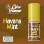 * AROMA CYBERFLAVOUR HAVANA MINT 10 ML