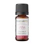 + FLAVOURAGE COCONUT PINEAPPLE 10 ML