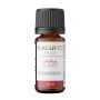 + FLAVOURAGE STRAWBERRY 10 ML
