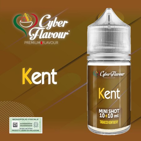 ° CYBERFLAVOUR KENT MIX&VAPE 10 ML IN CHUBBY 30 ML