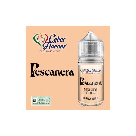 ° CYBERFLAVOUR PESCA NERA MIX&VAPE 10 ML IN CHUBBY 30 ML