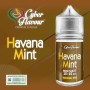 ° CYBERFLAVOUR HAVANA MINT MIX&VAPE 10 ML IN CHUBBY 30 ML