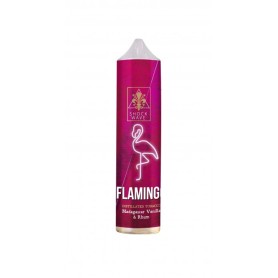 ANGOLO DELLA GUANCIA FLAMINGO SHOT 20 ML IN CHUBBY DA 60 ML