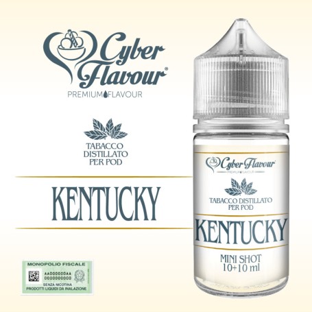 ° CYBERFLAVOUR DISTILLATO KENTUCKY 4 POD MIX&VAPE 10 ML IN CHUBBY 30 ML