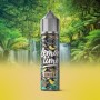 ELIQUID FRANCE 10 + 50 SHOT LEMON TIME GINGER 10/60 ML