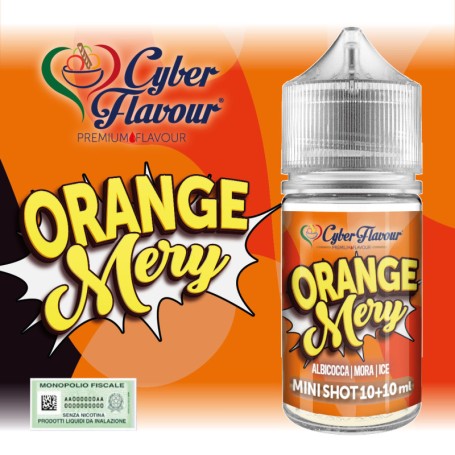 ° CYBERFLAVOUR ORANGE MERY MIX&VAPE 10 ML IN CHUBBY 30 ML