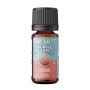 + FLAVOURAGE BUBBLE GUM PEACH 10 ML