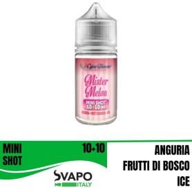 ° CYBERFLAVOUR MISTER MELON MIX&VAPE 10 ML IN CHUBBY 30 ML