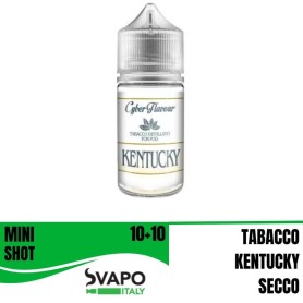 ° CYBERFLAVOUR DISTILLATO KENTUCKY 4 POD MIX&VAPE 10 ML IN CHUBBY 30 ML