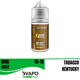 ° CYBERFLAVOUR KENT MIX&VAPE 10 ML IN CHUBBY 30 ML