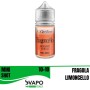 ° CYBERFLAVOUR FRAGONCELLO MIX&VAPE 10 ML IN CHUBBY 30 ML