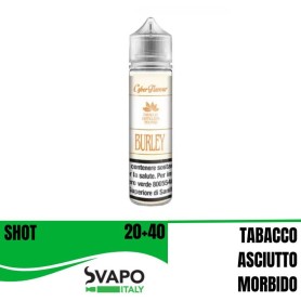 AROMA CYBER FLAVOUR 20 ML BURLEY