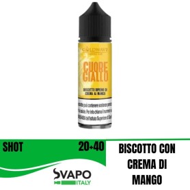 GOLDWAVE SHOT 20 ML CUORE GIALLO 20+ 40 SHOT 20 ML CHUBBY 60
