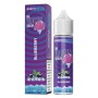 ° SVAPONEXT THE FROZEN BRAIN BLUEBERRY 0 MG MIX&VAPE 20 ML IN CHUBBY 60