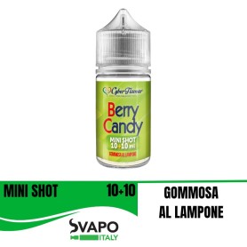 ° CYBER FLAVOUR BERRY CANDY MINI SHOT 10 + 10 CHUBBY DA 30 ML