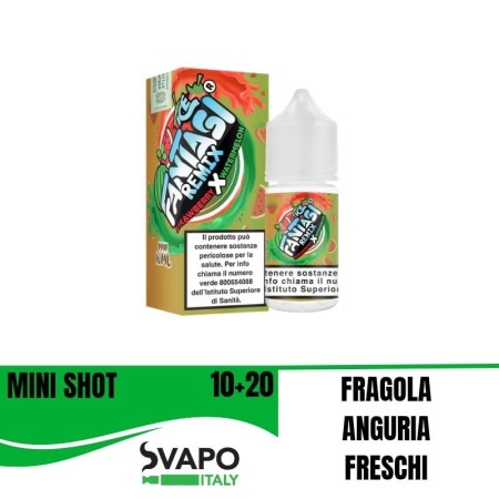 FANTASI STRAWBERRY WATERMELON REMIX ICE 10 + 10 MINI SHOT 10 ML IN CHUBBY 30