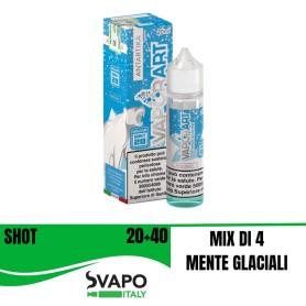 VAPORART 20 ML THE BIG FREEZE ANTARTIKA 20ML/60ML SHOT Mix&Vape