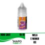 RELOAD VAPE VAPORBAR APPLE MANGO ICE MINI SHOT 10 + 10  MINI SHOT 10 ML IN CHUBBY 30