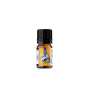 RELOAD VAPE AROMA 10 ML MAGIC MELON ICE 10 ML