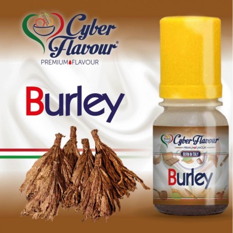 AROMA CYBER FLAVOUR BURLEY 10 ML
