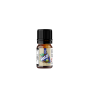 RELOAD VAPE AROMA 10 MLMAGIC ICE COCONUT 10 ML