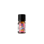 RELOAD VAPE AROMA 10 ML  MAGIC ICE BLOOD ORANGE 10 ML