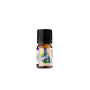 RELOAD VAPE AROMA 10 ML MAGIC ICE ORANGE 10 ML