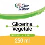 FULL VG CYBER FLAVOUR GLICERINA VEGETALE 250 ML